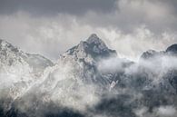Bergtoppen in de Mist Majestueus Berglandschap Slovenie van Femke Ketelaar thumbnail