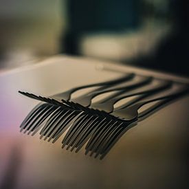 Compositie van vorken - productfotografie van Angelique van Kreij