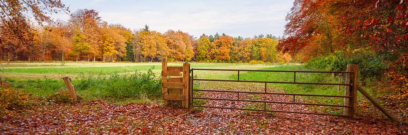 Niederländische Landschaft im Herbst von eric van der eijk