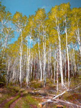 Birch forest in North Canada by Rietje Bulthuis