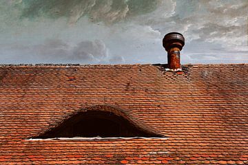 oud dak van Norman Krauß