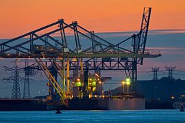 Kraan in de Maasvlakte te Rotterdam van Anton de Zeeuw