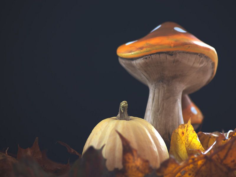 AUTUMN CONCEPT : PUMPKINS IN OCTOBER by Photoart-Naegele
