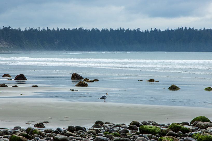 Strand auf Vancouver Island an der Westküste Kanadas von Eva Rusman
