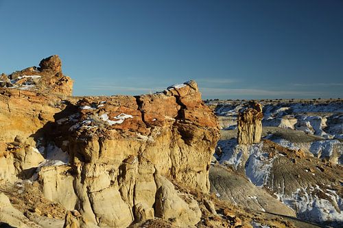 De-na-zin wildernis gebied- versteend hout, Bisti Badlands, New Mexico USA