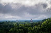 Wolkenlucht boven Tikal van Dennis Werkman thumbnail