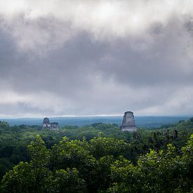 Wolkenlucht boven Tikal van Dennis Werkman