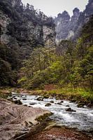 Rivière dans la montagne d'Avatar
