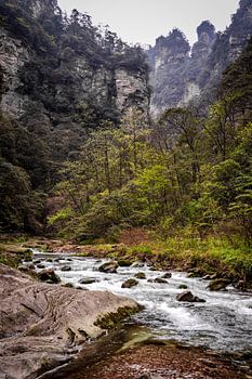 Rivière dans la montagne d'Avatar