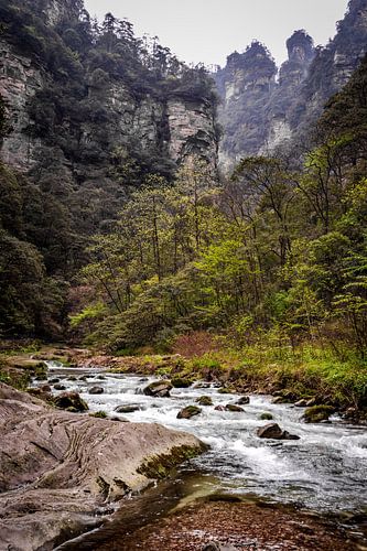 Rivière dans la montagne d'Avatar sur Qasar
