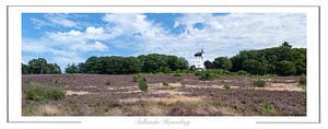 Sallandse Heuvelrug Nederland Nationaal Park de Sallandse Heuvelrug van Richard Wareham