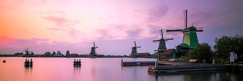 Dutch Windmills Panorama (wide)