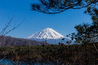 Uitzicht op Mt. Fuji van Schram Fotografie thumbnail