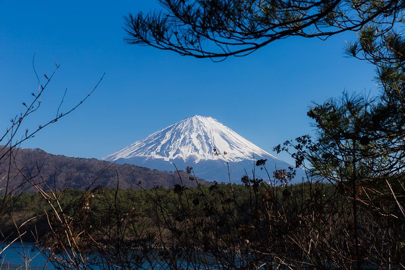Uitzicht op Mt. Fuji van Schram Fotografie