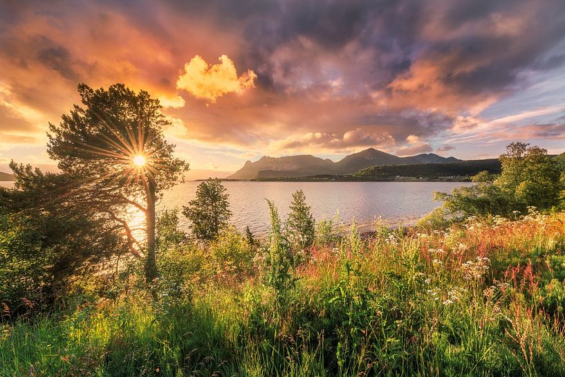 Sonnenuntergang norwegische Küste von FineArt Prints | Zwerger-Schoner |