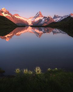 Bachalpée, Grindelwald