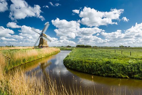 Ein niederländisches Bild