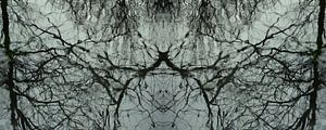 Wasser-Spiegel-Reflexion