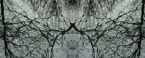 Water spiegel reflectie