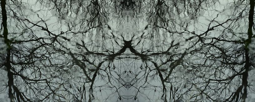 Water spiegel reflectie van Christine Nöhmeier
