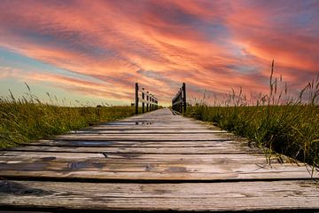 Holzbrücke in den Salzwiesen an der Nordsee im Sonnenuntergang