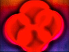 KERNSPALTUNG van JORG BECKER