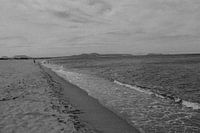 Journée à la plage