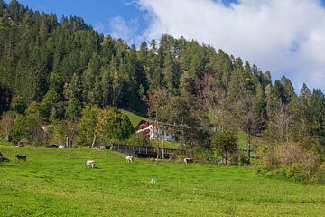Stubai Valley by Torsten Krüger