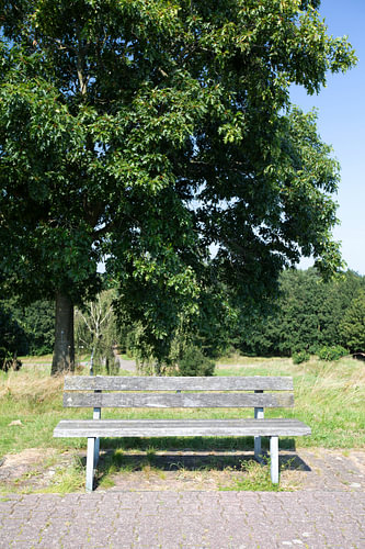 Ontdek de natuur in een bosrijk gebied in Emsland, Nedersaksen, Duitsland