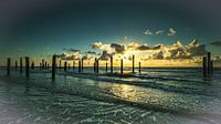 Palendorp Petten aan Zee
