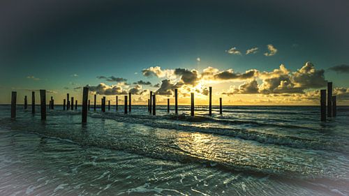 Palendorp Petten aan Zee van Wout Rouwmaat