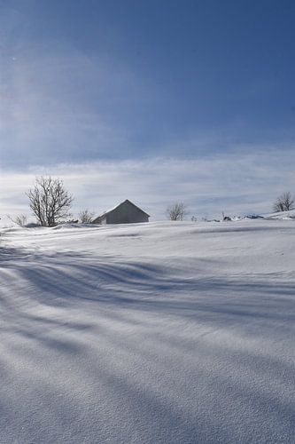 Een besneeuwd veld op een koude februaridag