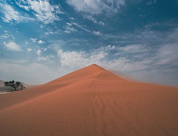 Duin in Sossusvlei in Namibië, Afrika van Patrick Groß