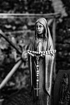 Forever " wees gegroet".