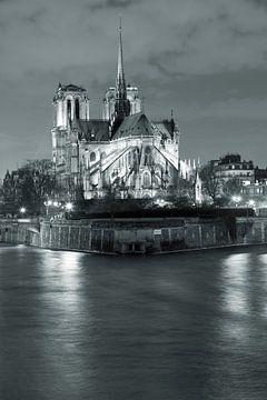 Notre Dame by night, Paris by Markus Lange