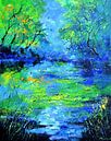 Magische vijver van pol ledent thumbnail
