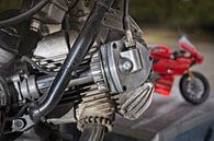 Ducati SD900 Darmah Desmo Cilinderkop van Rob Boon thumbnail