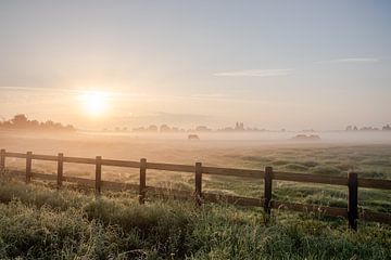 Niederländische Landschaft Sonnenuntergang Sonnenaufgang Wiese und Pferde von Déwy de Wit
