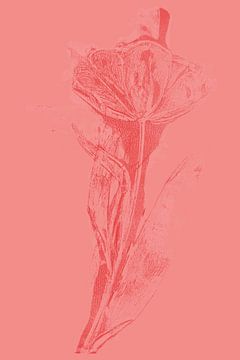 Moderne botanische kunst. Boho bloem in felle kleuren nr. 7 van Dina Dankers