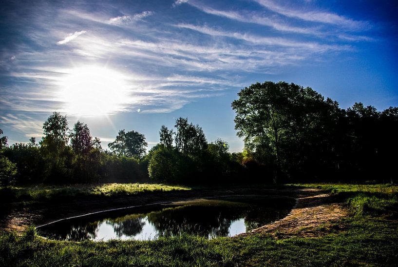 A small pond by Norbert Sülzner