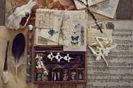 Collection #102 - Fox and eggs van Angelique Brunas thumbnail