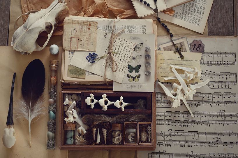 Collection #102 - Fox and eggs van Angelique Brunas