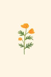 Oranje papaverbloesem van Karen Menzenbach