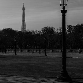 Tower of Paris van Robin Kelderman