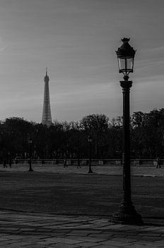 Tower of Paris