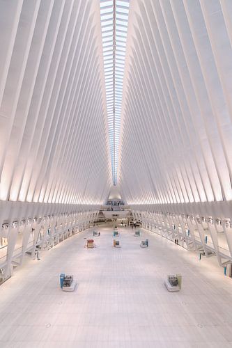 Oculus Transport Hub in New York, USA