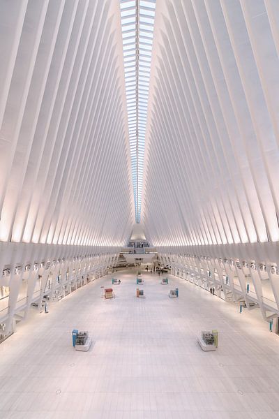 Oculus Transport Hub in New York, USA von Adelheid Smitt