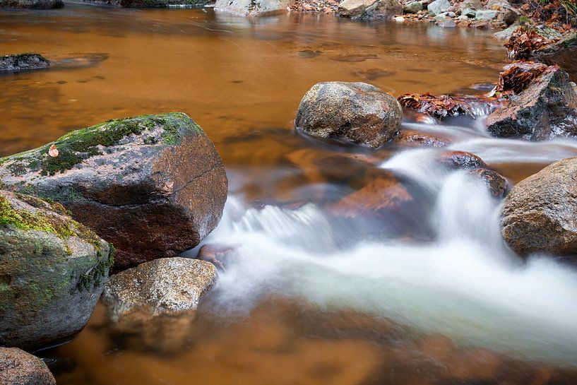 The river Ilse in the Harz National Park by Heiko Kueverling