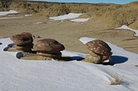 Ah-Shi-Sle-Pah Wilderness Study Area in de winter met grappige stenen figuren, New Mexico, USA van Frank Fichtmüller thumbnail