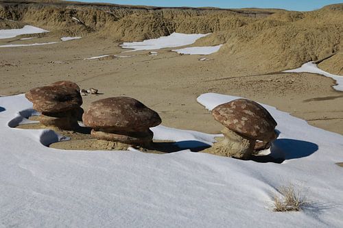 Ah-Shi-Sle-Pah Wilderness Study Area in de winter met grappige stenen figuren, New Mexico, USA